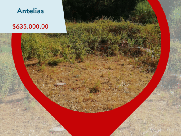 Land for sale in Metn