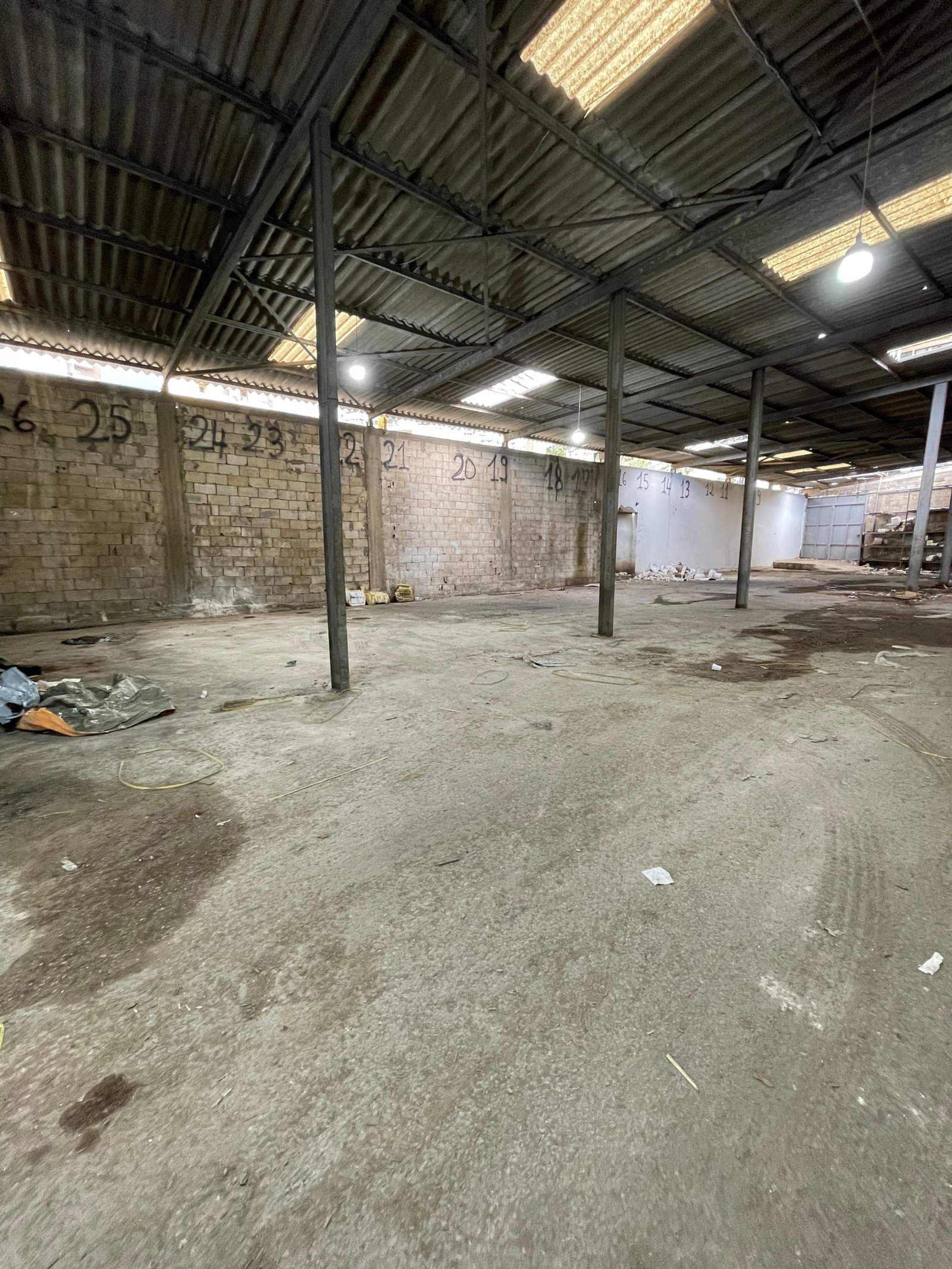 WhatsApp Image 2026-03-25 at 17.45.24